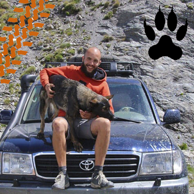 Viaggi col cane in 4x4